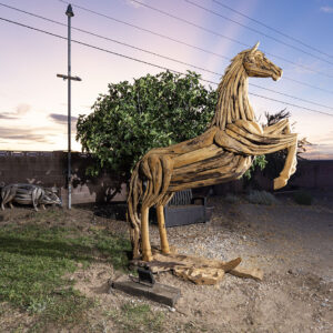 Horse Drift Wood