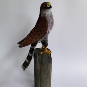 Sawdust Bird on wood (large) (C4010)