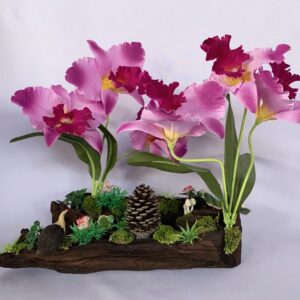 Purple Cattleya orchid arrangement on solid wood | (C4141)