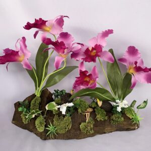 Purple Cattleya orchid arrangement on solid wood |  (C4142)