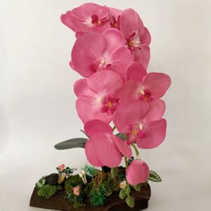 Pink Phalaenopsis orchids arrangement on solid wood. (C4143)