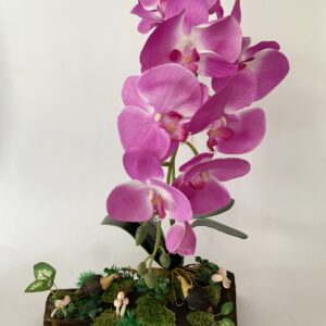 Purple Phalaenopsis orchids arrangement on solid wood. (C4148)