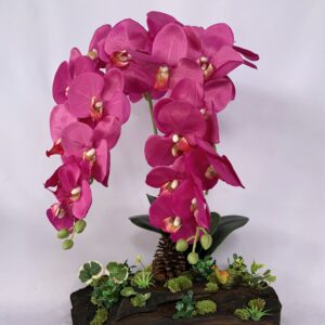 Large Pink Phalaenopsis orchids arrangement on solid wood. (C4152)